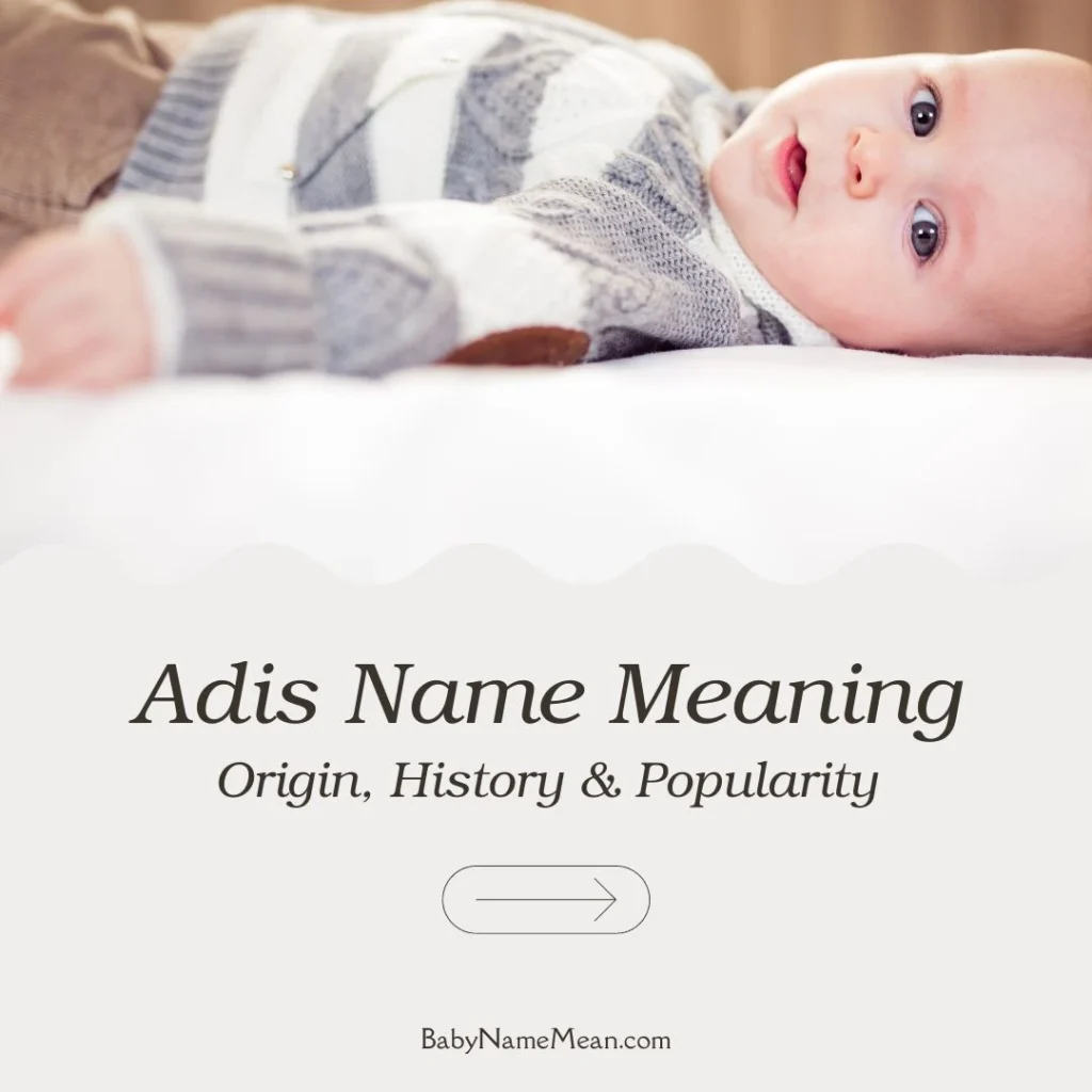 Adis Name Meaning